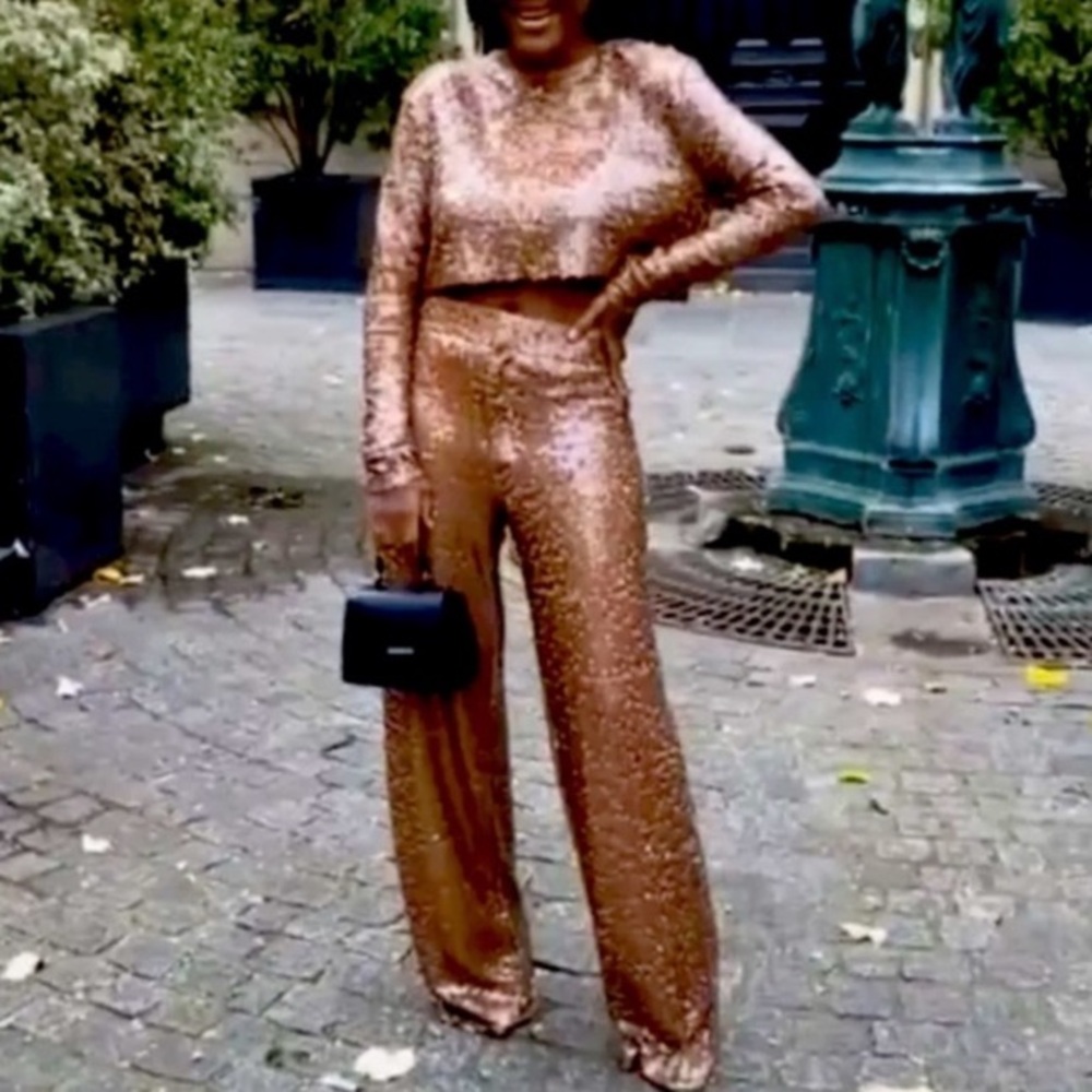 ZARA Copper Brown Sequin Pleated Wide Leg Pants - Picture 1 of 15